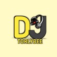 DJ TORLYBEE 2022 JUST FREESTLE MIXTAPE