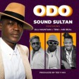 Sound Sultan – Odo ft Olu Maintain, Teni & Mr Real