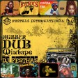 DJ FESTHAS - RUBBER DUB MIXTAPE (ft Shaba Ranks,Patra,Chaka Demus & Pliers,Coco Tea, Mad Cobra, etc.