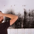 How Can Mold Be Removed From Walls