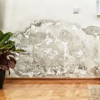How Do You Know If You Have Mold in Your Walls?