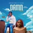 JUNIOR WALE FT DIVA-DAMN COVER(mixby soulpvibez)