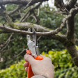 What Are the Important Reasons for Hiring Tree Service Experts?