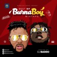 DJ Baddo – Best Of Burna Boy Mix