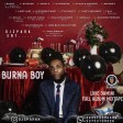 DJ Spark - Burna Boy Love Damini Album Mix 2022