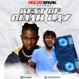 DJ Spark - Best Of Omah Lay 2021 Mix