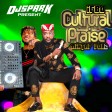 DJ Spark - Igbo Cultural Praise Mix Vol 2