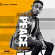 PEACE (The Freestyle) - Amicable Chiz