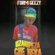 Form Geezy-Uzanipeza Che Neka