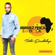 Dj Mimmz Africa - Esimtholayo