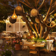 Relish The Delicious Meal with Beautiful Outdoor Dining