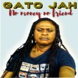 No Money No Friend - Prophet Gato Jah