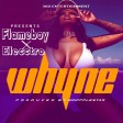 Flameboy ft Elektro - Whyne (Prod. By 3pplestar) | 360nobsdegreess.com