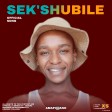 Sek'shubile ( Amapiano ) Prod By Kruger Stallone