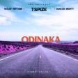 Tspize, DJ Neptune & Duncan Mighty – Odinaka (Street Praise)