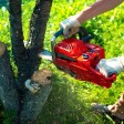 Tree Trimmers, What Are The Costs?