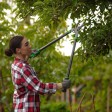 What Exactly Does an Arborist Do to Care for Trees?