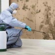 Mold Remediation And Mold Removal