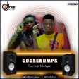 DJ cee_GooseBumps Turn Up Mix