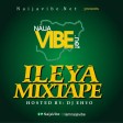 Naijavibe  2019 Ileya Party Mix (Hosted By Dj Ehyo)