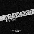Dj Texnikz - AMAPIANO Mixtape 2021