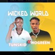 Tunskid Ft. Hogreen - Wicked World