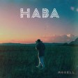 Morell – Haba