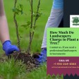 How Much Does It Cost to Hire a Landscaper to Plant a Single Tree in Your Garden?