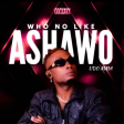 Udo Mma - Who No Like Ashawo