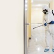 Why Should I Use Professional Mold Removal Services