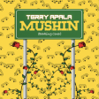 Terry Apala – Mushin